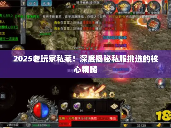 2025老玩家私藏！深度揭秘私服挑选的核心精髓
