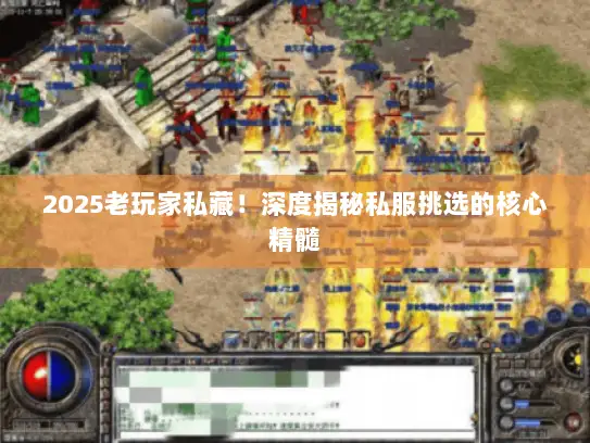 2025老玩家私藏！深度揭秘私服挑选的核心精髓
