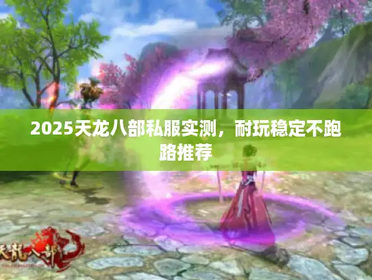 2025天龙八部私服实测，耐玩稳定不跑路推荐