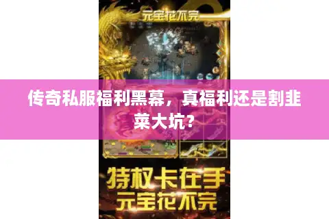 传奇私服福利黑幕，真福利还是割韭菜大坑？