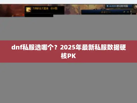 dnf私服选哪个？2025年最新私服数据硬核PK