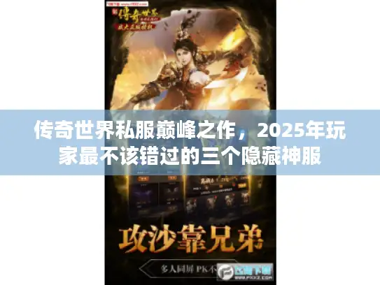 传奇世界私服巅峰之作，2025年玩家最不该错过的三个隐藏神服