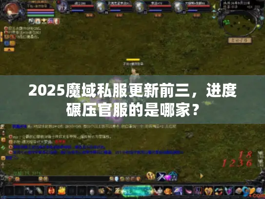 2025魔域私服更新前三，进度碾压官服的是哪家？