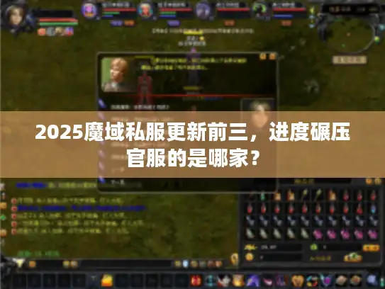 2025魔域私服更新前三，进度碾压官服的是哪家？