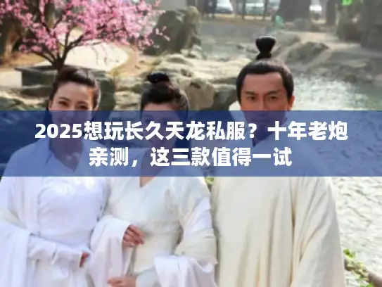 2025想玩长久天龙私服？十年老炮亲测，这三款值得一试