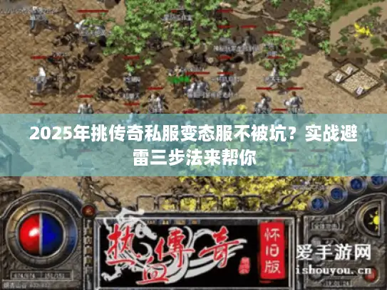 2025年挑传奇私服变态服不被坑？实战避雷三步法来帮你