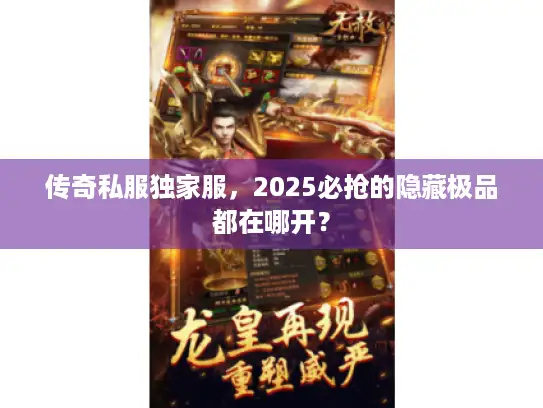 传奇私服独家服，2025必抢的隐藏极品都在哪开？