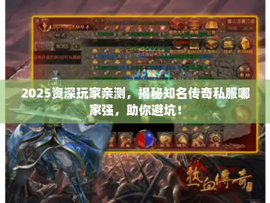 2025资深玩家亲测，揭秘知名传奇私服哪家强，助你避坑！