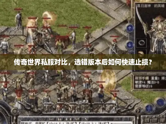 传奇世界私服对比，选错版本后如何快速止损？