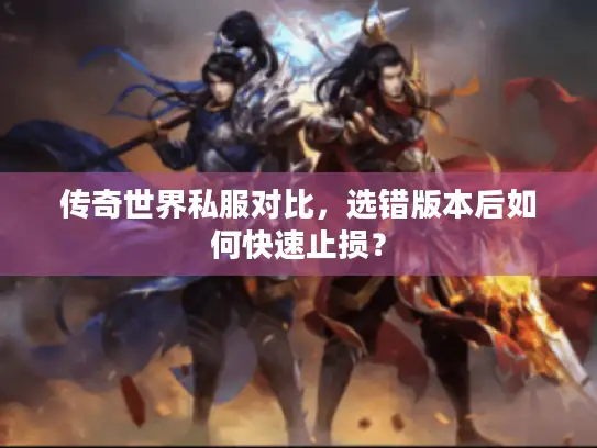 传奇世界私服对比，选错版本后如何快速止损？