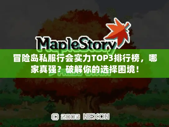 冒险岛私服行会实力TOP3排行榜，哪家真强？破解你的选择困境！