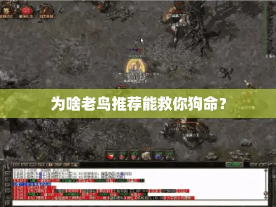 为啥老鸟推荐能救你狗命? 为啥老鸟推荐能救你狗命?