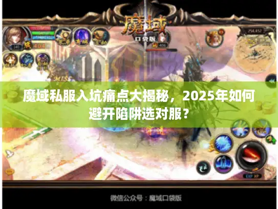 魔域私服入坑痛点大揭秘,2025年如何避开陷阱选对服? 魔域私服入坑痛点大揭秘,2025年如何避开陷阱选对服?