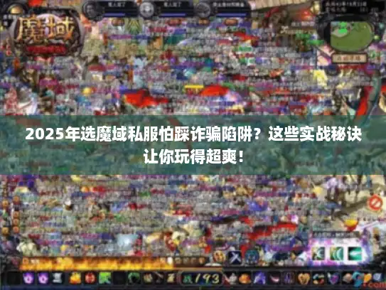 2025年选魔域私服怕踩诈骗陷阱？这些实战秘诀让你玩得超爽！