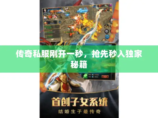 传奇私服刚开一秒，抢先秒入独家秘籍