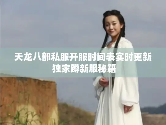 天龙八部私服开服时间表实时更新 独家蹲新服秘籍