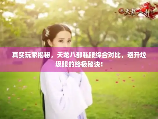 真实玩家揭秘,天龙八部私服综合对比,避开垃圾服的终极秘诀! 真实玩家揭秘,天龙八部私服综合对比,避开垃圾服的终极秘诀!