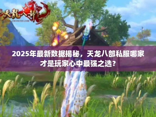2025年最新数据揭秘，天龙八部私服哪家才是玩家心中最强之选？