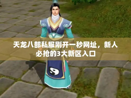 天龙八部私服刚开一秒网址，新人必抢的3大新区入口