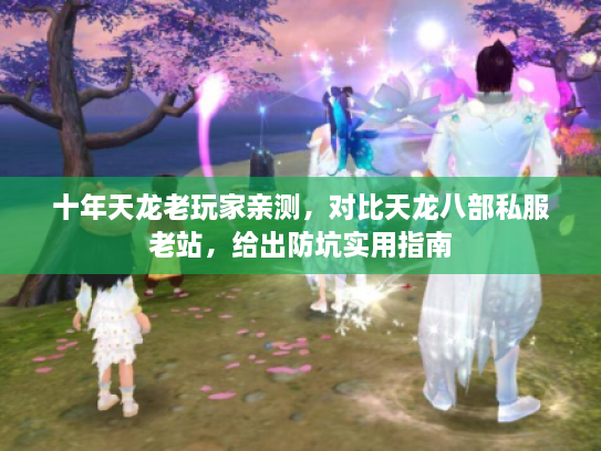 十年天龙老玩家亲测，对比天龙八部私服老站，给出防坑实用指南