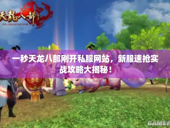 一秒天龙八部刚开私服网站，新服速抢实战攻略大揭秘！
