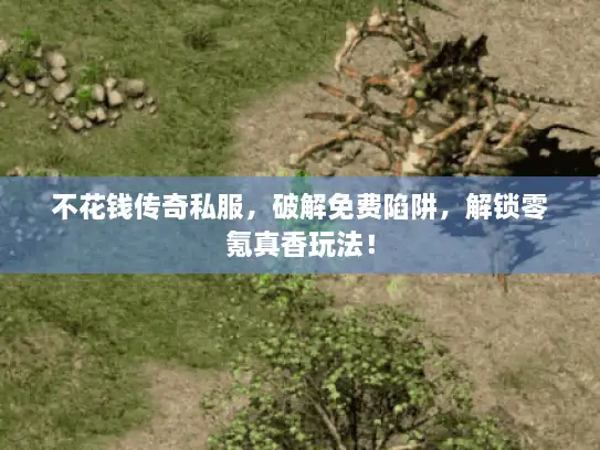 不花钱传奇私服,破解免费陷阱,解锁零氪真香玩法! 不花钱传奇私服,破解免费陷阱,解锁零氪真香玩法!