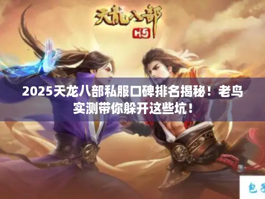 2025天龙八部私服口碑排名揭秘！老鸟实测带你躲开这些坑！