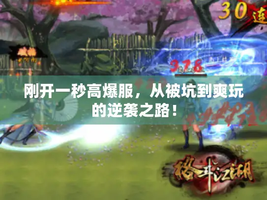 刚开一秒高爆服,从被坑到爽玩的逆袭之路! 刚开一秒高爆服,从被坑到爽玩的逆袭之路!