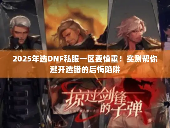 2025年选DNF私服一区要慎重！实测帮你避开选错的后悔陷阱