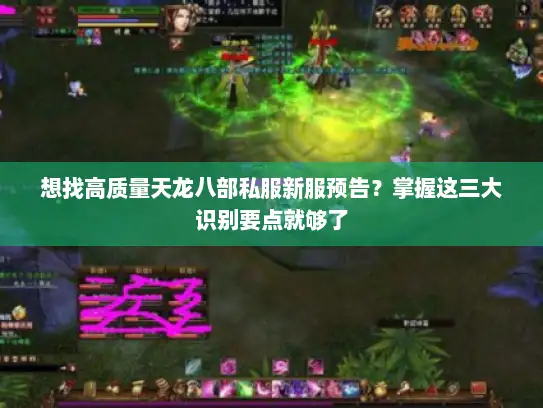 想找高质量天龙八部私服新服预告？掌握这三大识别要点就够了