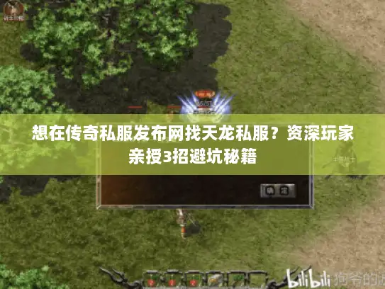 想在传奇私服发布网找天龙私服？资深玩家亲授3招避坑秘籍