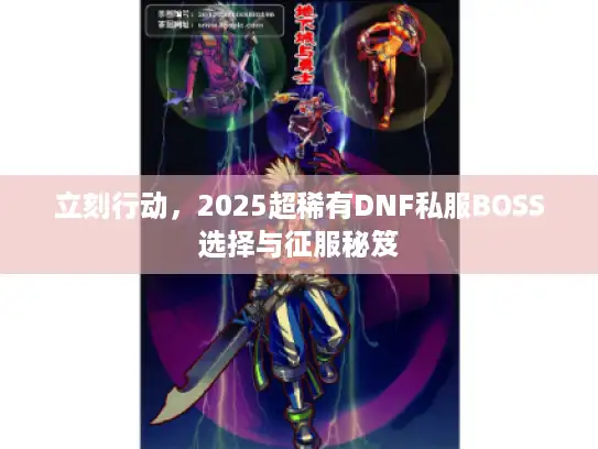 立刻行动,2025超稀有DNF私服BOSS选择与征服秘笈 立刻行动,2025超稀有DNF私服BOSS选择与征服秘笈