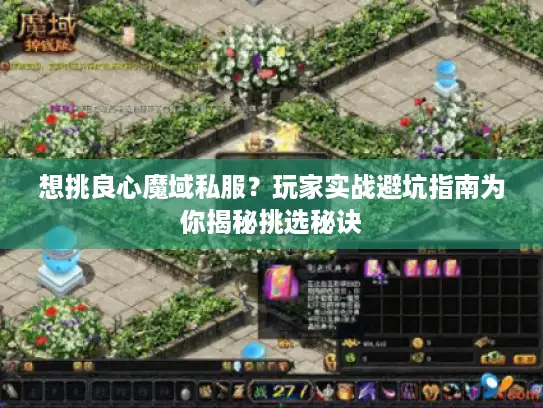 想挑良心魔域私服?玩家实战避坑指南为你揭秘挑选秘诀 想挑良心魔域私服?玩家实战避坑指南为你揭秘挑选秘诀