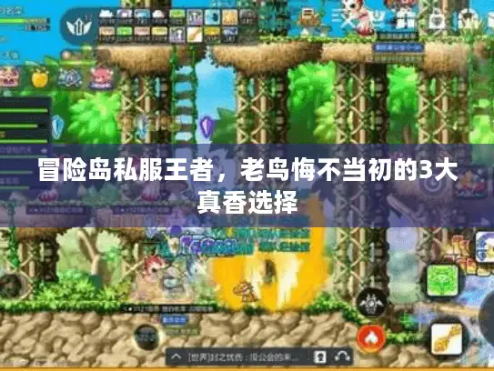冒险岛私服王者，老鸟悔不当初的3大真香选择