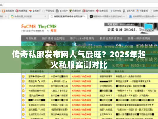 传奇私服发布网人气最旺？2025年超火私服实测对比