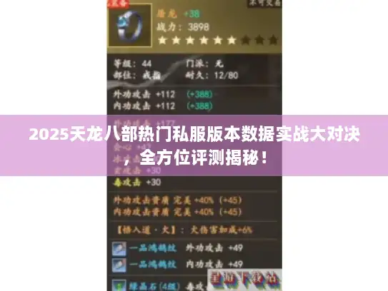 2025天龙八部热门私服版本数据实战大对决，全方位评测揭秘！