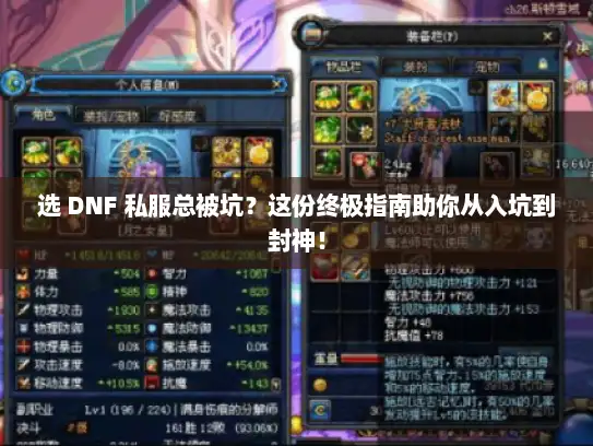 选 DNF 私服总被坑?这份终极指南助你从入坑到封神! 选 DNF 私服总被坑?这份终极指南助你从入坑到封神!