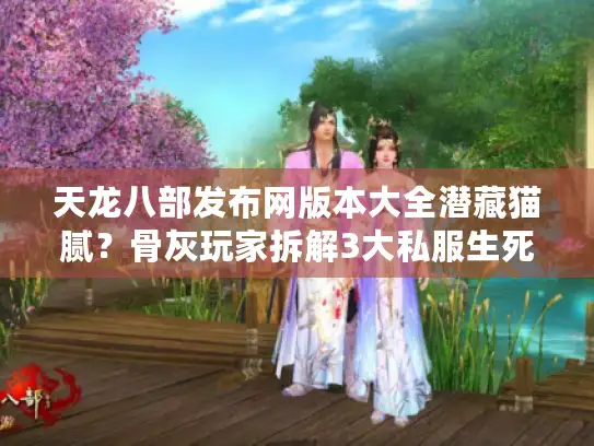 天龙八部发布网版本大全潜藏猫腻？骨灰玩家拆解3大私服生死线