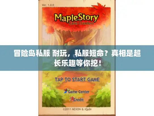 冒险岛私服 耐玩，私服短命？真相是超长乐趣等你挖！