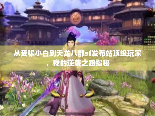 从受骗小白到天龙八部sf发布站顶级玩家，我的逆袭之路揭秘