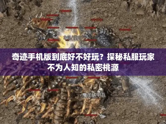 奇迹手机版到底好不好玩？探秘私服玩家不为人知的私密桃源