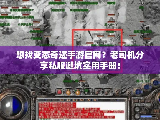 想找变态奇迹手游官网？老司机分享私服避坑实用手册！