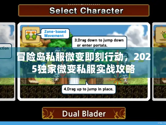 冒险岛私服微变即刻行动,2025独家微变私服实战攻略 冒险岛私服微变即刻行动,2025独家微变私服实战攻略