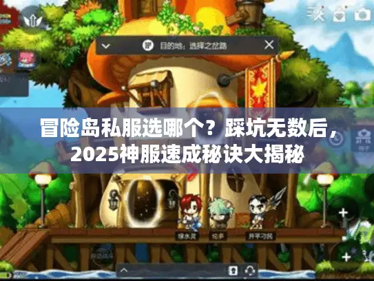 冒险岛私服选哪个？踩坑无数后，2025神服速成秘诀大揭秘
