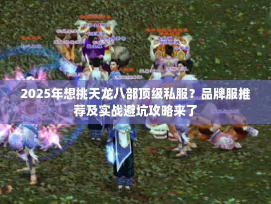 2025年想挑天龙八部顶级私服？品牌服推荐及实战避坑攻略来了