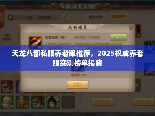 天龙八部私服养老服推荐，2025权威养老服实测榜单揭晓