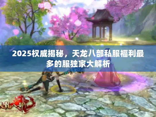 2025权威揭秘，天龙八部私服福利最多的服独家大解析