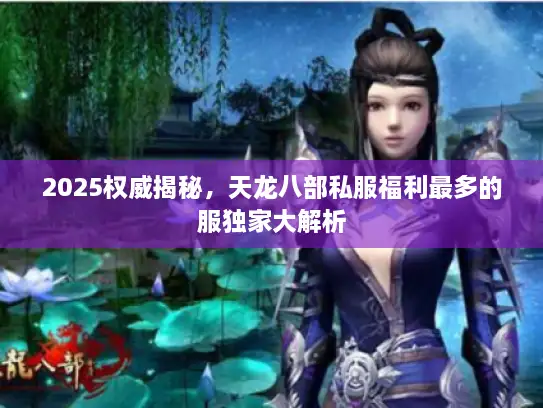 2025权威揭秘，天龙八部私服福利最多的服独家大解析