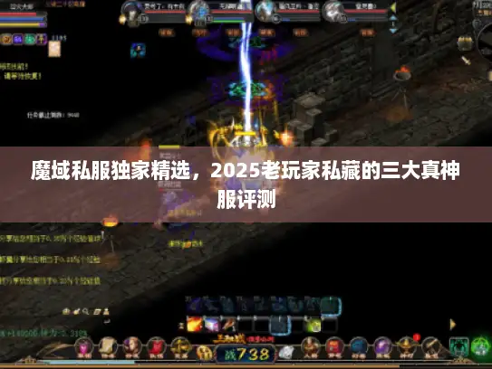 魔域私服独家精选，2025老玩家私藏的三大真神服评测