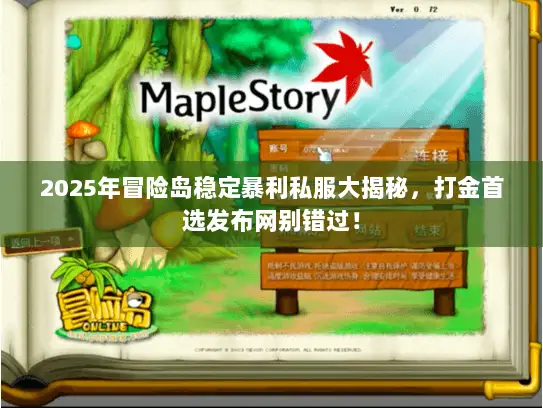 2025年冒险岛稳定暴利私服大揭秘，打金首选发布网别错过！